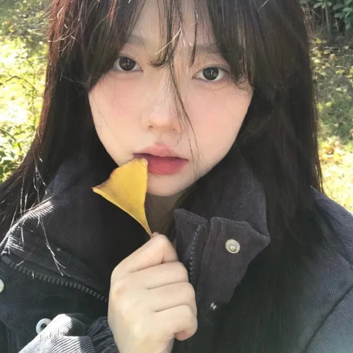 繁华梦